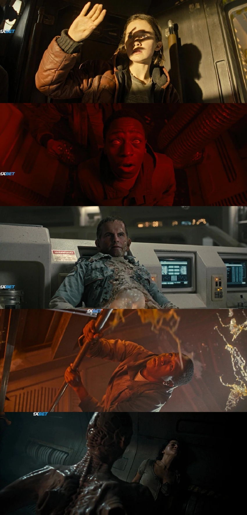 Download Alien: Romulus | 2024 | Hindi (LiNE) &amp; English | 480p 720p 1080p