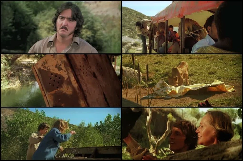 Download Roar | 1981 | Hindi-English | Dual Audio | BluRay | Full Movie 480p 720p 1080p