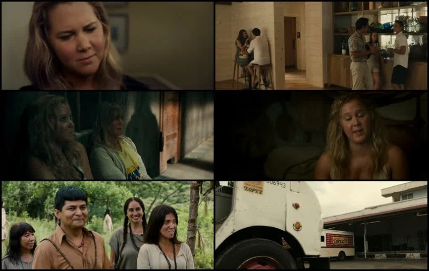 Download Snatched (2017) Hindi-English BluRay 480p 720p 1080p