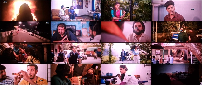 Download Love Seasons (2026) Hindi Dubbed HDTC 480p 720p 1080p