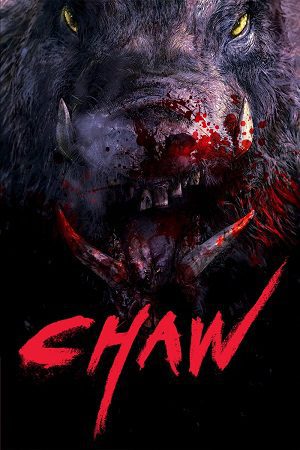 Download Chawz (2009) Uncut-BluRay Dual Audio {Hindi-Korean} 480p [500MB] | 720p [1.2GB] | 1080p [2.1GB]