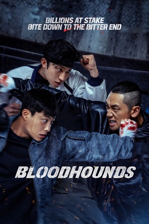 Download Bloodhounds (Season 1 – 2) Multi-Audio {Hindi-English-Korean} NetFlix-Series 480p | 720p | 1080p WEB-DL