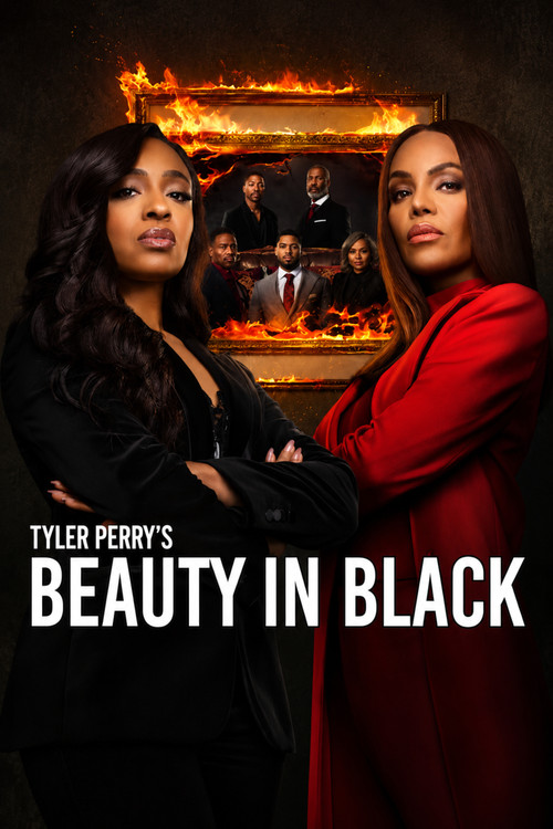 Download Beauty in Black (Season 1 – 3) Complete Dual Audio {Hindi-English} NetFlix Series 480p, 720p & 1080p WEB-DL